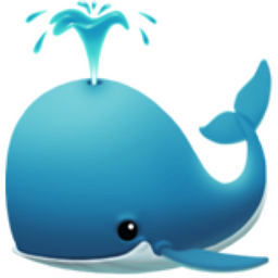 Baleine Soufflant Par Son évent