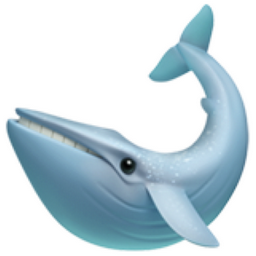 Baleine