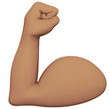 Biceps Contracté (peau légèrement mate)