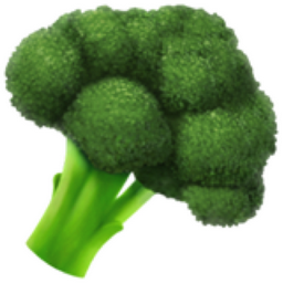 Broccoli