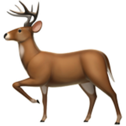Cerf