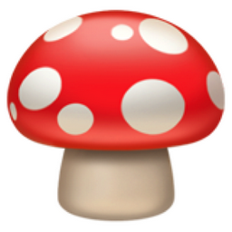 Champignon