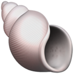 Coquille En Spirale