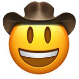 Visage Avec Chapeau De Cowboy