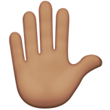 Main Levée (peau légèrement mate)
