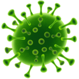 Microbe