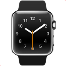 Montre