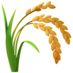 Plant De Riz