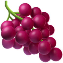 Raisin