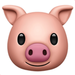 Tête De Cochon