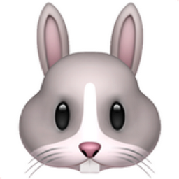 Tête De Lapin